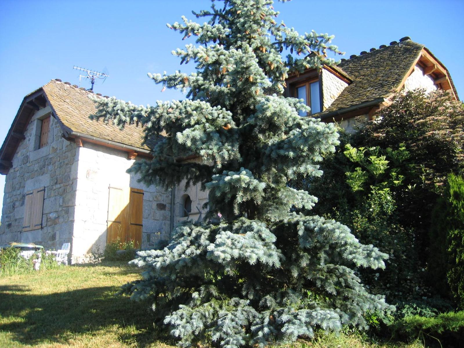 Lozere Aubrac Margeride Promo Apartment Saint-Alban-sur-Limagnole Ngoại thất bức ảnh